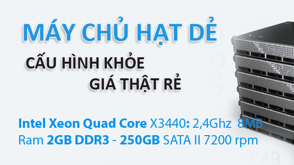 Máy chủ hạt dẻ trong tầm tay